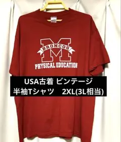 USA古着 ビンテージ　半袖Tシャツ　2XL(3L相当)メンズ