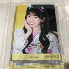 南野陽子コンサートグッズEFGHI(ポストカード5枚＆缶バッジ各2個セット