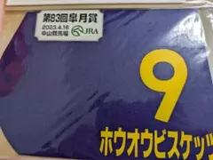 【非売品】日本ダービー３連単ミニゼッケン 2025年最新】ゼッケン ダービーの人気アイテム - メルカリ