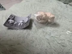 Item thumbnail for item 061b4db1-84ce-46f3-a1ff-7ed94c75eef8