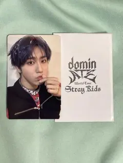 スキズ dominATE 購入特典 ハン トレカ