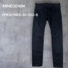 Item thumbnail for item 2d1566d4-df7d-4e78-bb84-922e852c40ee