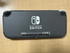 Nintendo Switch Lite グレー 本体 + ケース