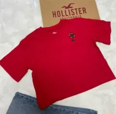 人気 HOLLISTER ホリスター レディースTシャツS・California