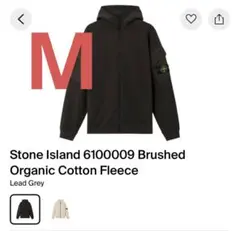 Item thumbnail for item 9fd9bf64-2bf1-49cd-89bd-8ee6c6a0d2b3