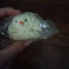 ひよこのスクイーズ
