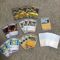 メガジガルデex デッキパーツセット