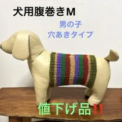 犬用腹巻きM （幅短め）男の子　H601