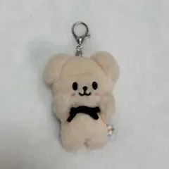 StrayKids SKZOOバンザイ マグネットキーリング 10cm パピーム - メルカリ