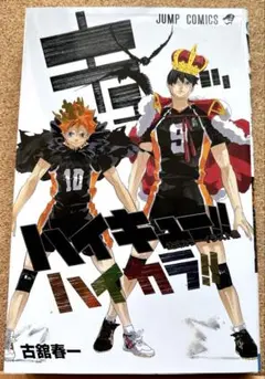 ハイキュー　公式カラーイラスト集　ハイカラ!!