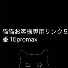 猫猫お客様専用リンク5番 15promax ケースティファイ CASETiFY