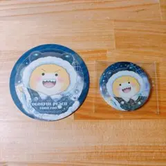 カラフルピーチ　東武動物公園　シヴァ