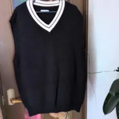 【ZARA】メンズニットVネック