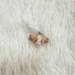 プリキュア　ぷちきゅあ　こむぎ　めじるしアクセサリー