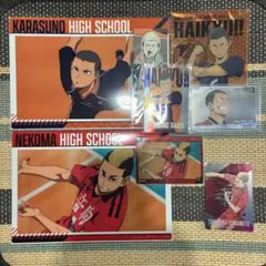 ハイキュー 田中龍之介 山本猛虎 セット