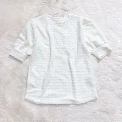 レカ 立体ジャガード半袖トップス ぽこぽこ素材 クルーネック 韓国系 上品 清楚のサムネイル