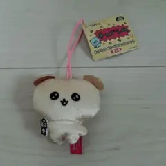 チェゴシム キラキラ ぬいぐるみ マスコット