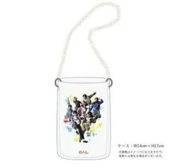 PAL パルクローゼット　パルクロすっきゃねんず　ストラップ付マルチケース