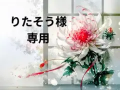 りたそう様 専用