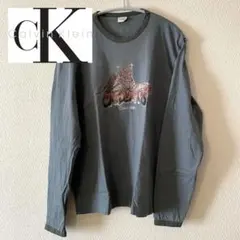 【古着✨】CALVIN KLEIN カルバンクライン　ロング ロゴ入り Tシャツ
