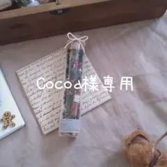Cocoa様専用☆ 2点