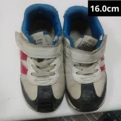 IFME スニーカー 16.0cm ベルクロ