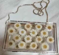 Zara押し花デザイン クリアショルダーバッグ