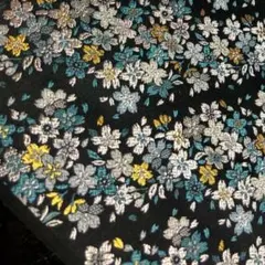 Item thumbnail for item 3be74f78-db19-4bf6-be88-13473bf6be1e