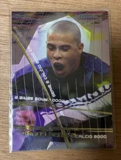 PANINI ロナウド インテル トレーディングカード