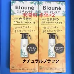 【未開封】ブローネ ナチュリラ カラートリートメント ナチュラルブラック 2本のサムネイル