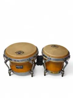 Item thumbnail for item b2604446-b253-41bb-902b-b61d38059546