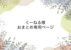 くーねる様 リクエスト 2点 まとめ商品
