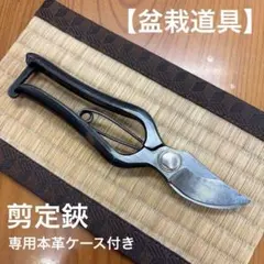 2026年最新】昌国 盆栽の人気アイテム - メルカリ