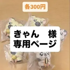 きゃん様 専用ページ