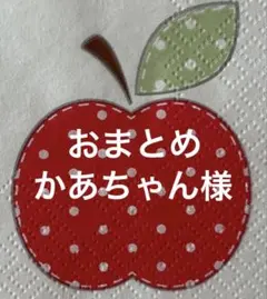 かあちゃん様 リクエスト 10点 まとめ商品