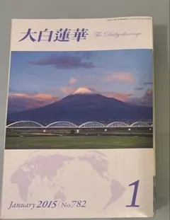 2026年最新】大白蓮華 冊の人気アイテム - メルカリ