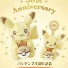 30周年記念 ピカピカ！ピカチュウ マスコット ぬいぐるみセット 新品 未開封