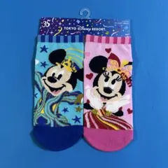 ディズニーリゾート ３５周年靴下のサムネイル