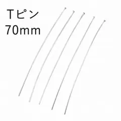 Item thumbnail for item 8b4e1f62-9575-4f5a-8e5f-47b90cfe8fb7