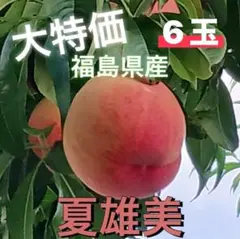 ❕大特価❕【期間限定】福島県産 早生品種「なつゆうび」6玉訳あり・ご家庭用のサムネイル
