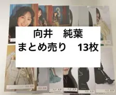 櫻坂46 向井 純葉　生写真まとめ売り