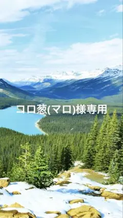 87 レジン　シャカシャカキーホルダー　シェイカー　肉球　猫　夢かわ