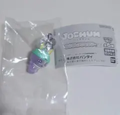 JOCHUM めじるしアクセサリー2 ちまた