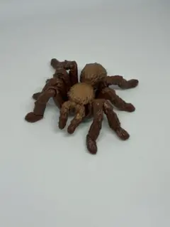 タランチュラ 蜘蛛 フィギュア リアル 昆虫 模型