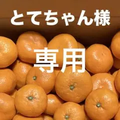 とてちゃん様専用　訳あり　青島みかんM〜2L 10㎏