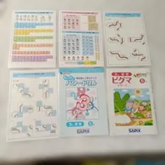 サピックス　SAPIX ピグマキッズ　小３　3年生　未記入　未使用品 1年分 SAPIX-compressor-640x360.jpg
