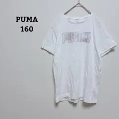 プーマ　Tシャツ　プリント　綿　コットン100　薄手　半袖　男女兼用　160のサムネイル