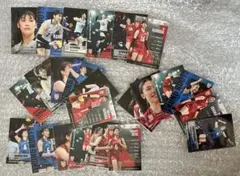 全日本女子バレーボール 6枚コンプ トレーディングカード 24枚セット