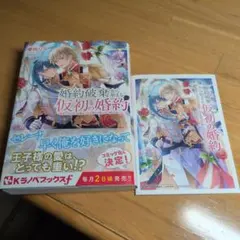 婚約破棄から始まる仮初の婚約 ～恩返しのはずが由緒正しき王家の兄妹に甘く囲われ…