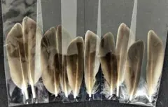 marianna様 リクエスト 2点 まとめ商品